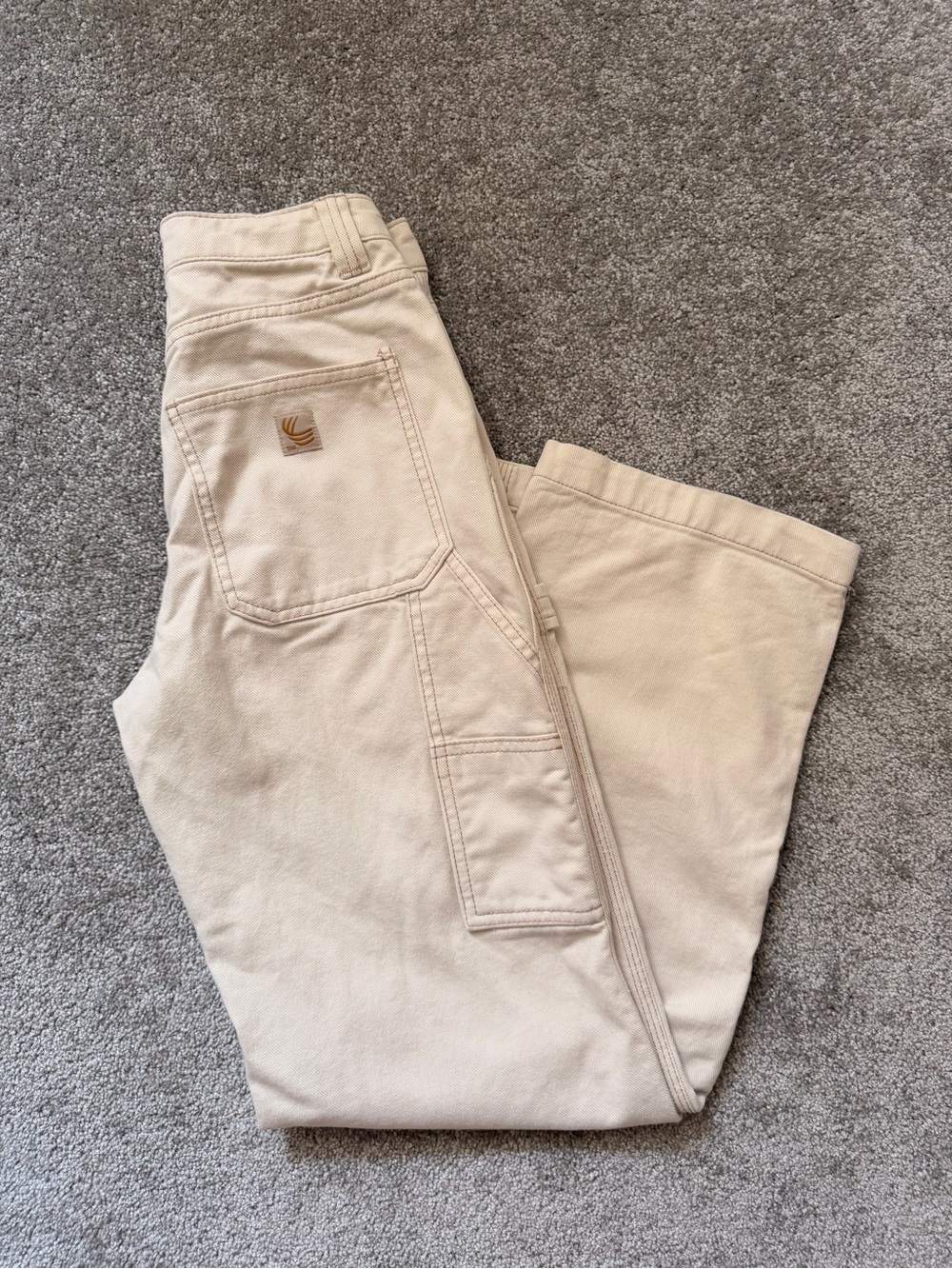 TNA Carpenter Pants